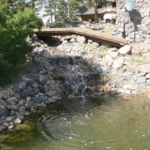 Pond 8