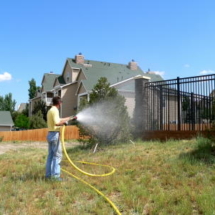 watering 5